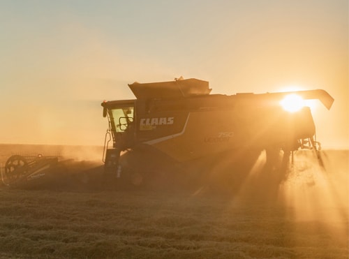 A tractor dribing on a field of crops during sunset